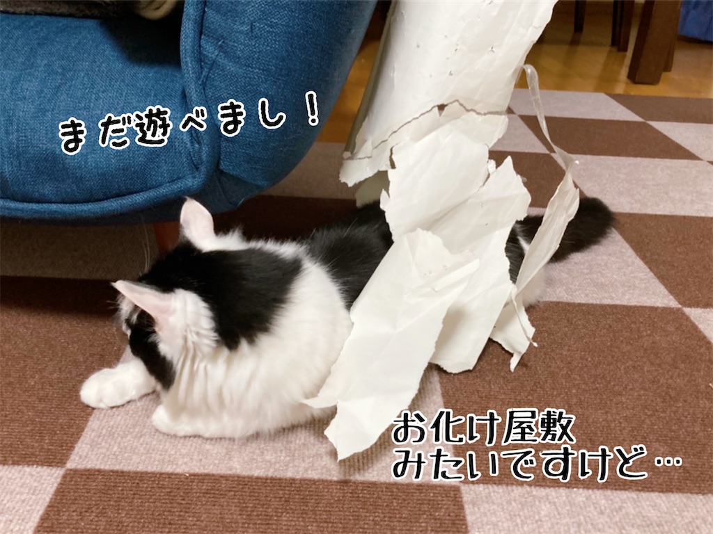 f:id:fukufukudo:20220313151639j:plain