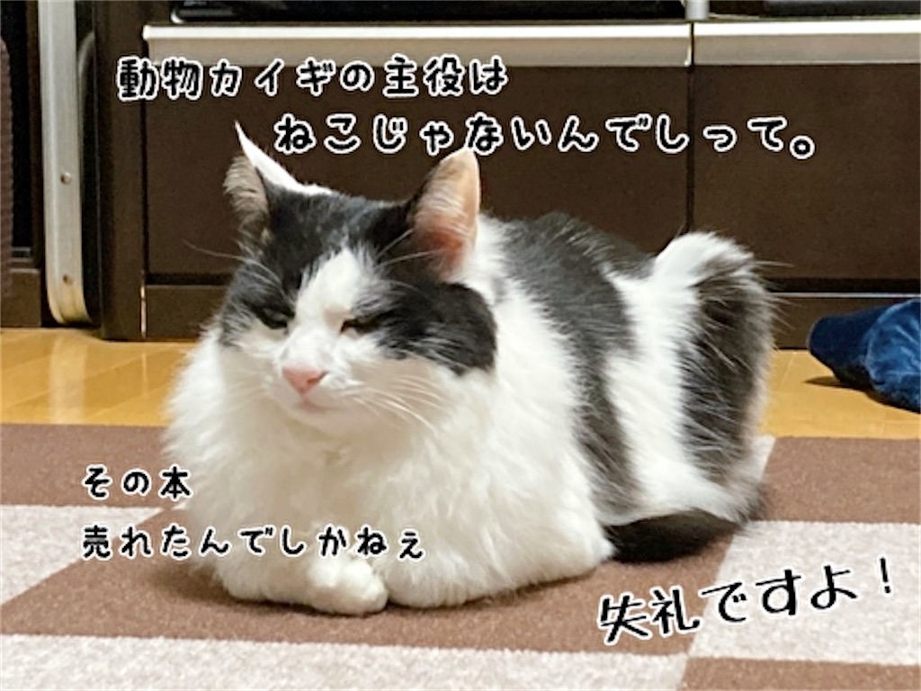 f:id:fukufukudo:20220319212254j:plain