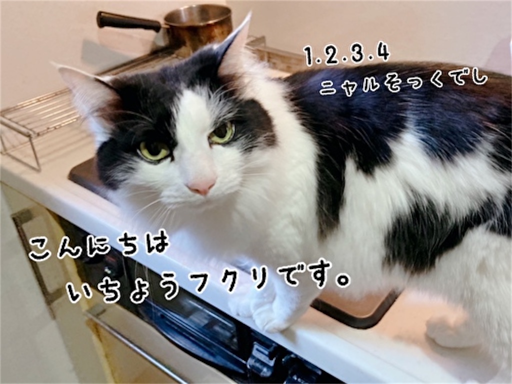 f:id:fukufukudo:20220322105554j:plain