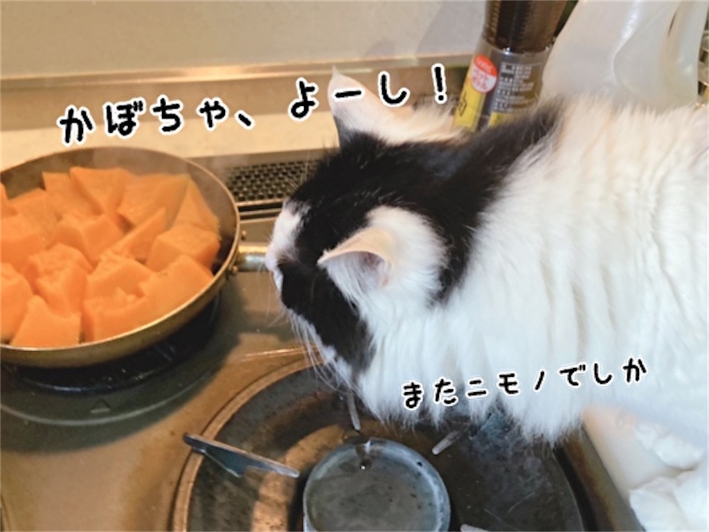 f:id:fukufukudo:20220322105604j:plain