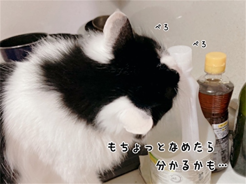 f:id:fukufukudo:20220322105633j:plain