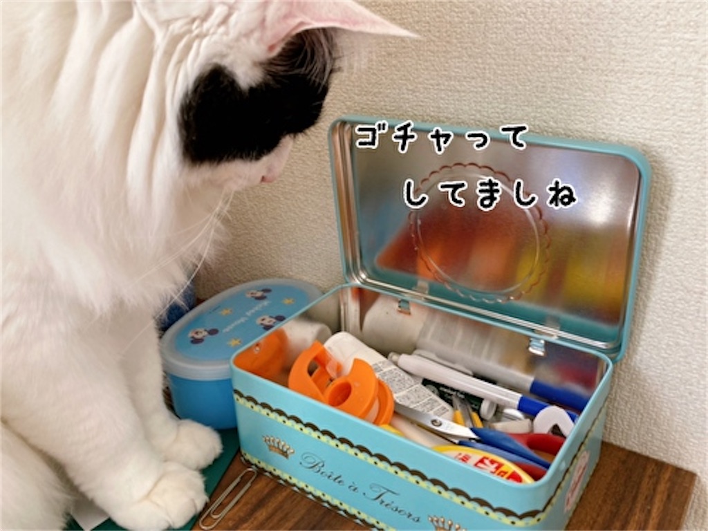 f:id:fukufukudo:20220331090957j:plain