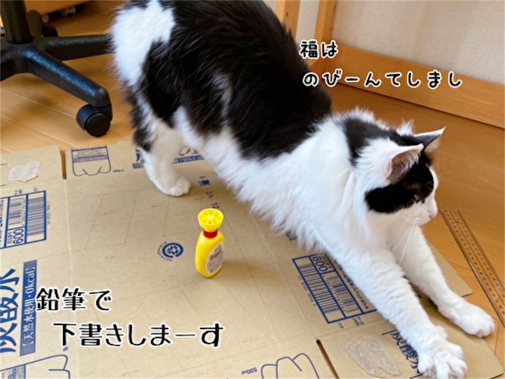 f:id:fukufukudo:20220331091023j:plain