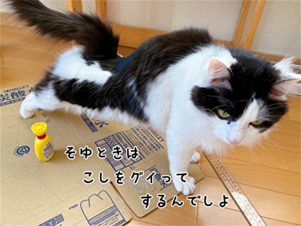 f:id:fukufukudo:20220331091043j:plain