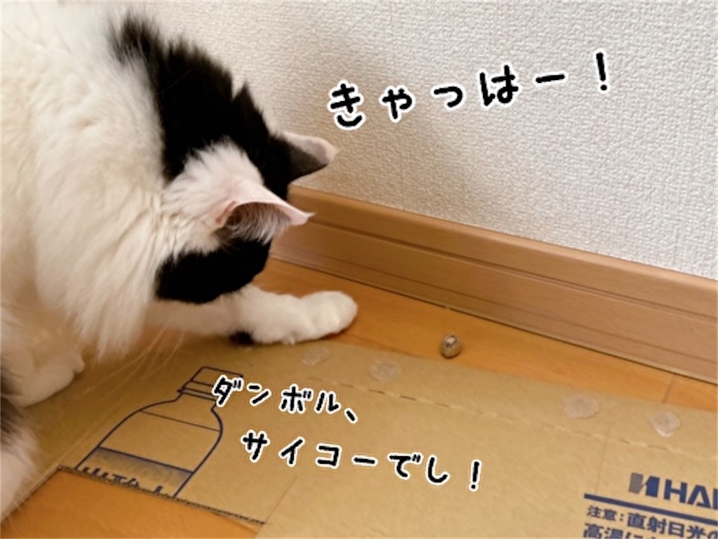 f:id:fukufukudo:20220331091058j:plain