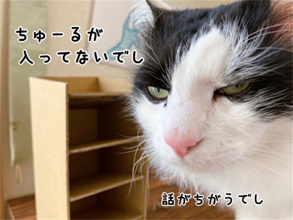 f:id:fukufukudo:20220331091130j:plain