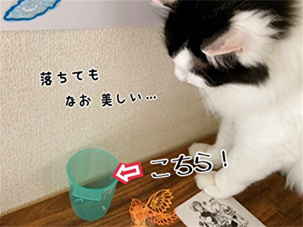 f:id:fukufukudo:20220331091156j:plain