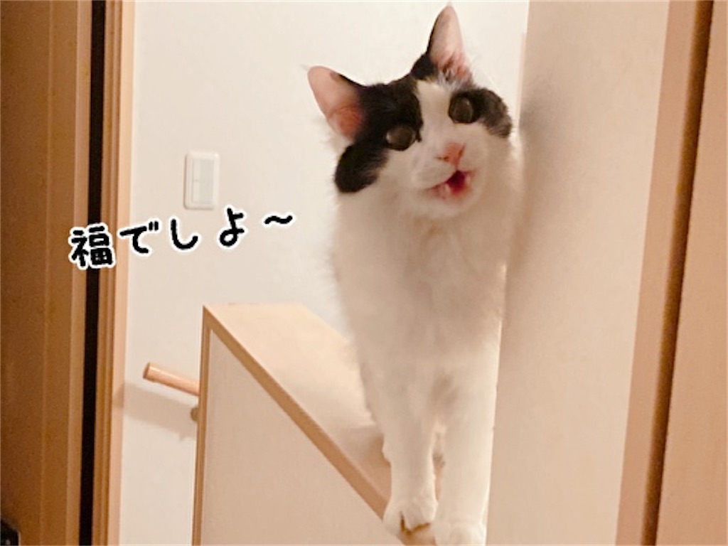 f:id:fukufukudo:20220401211520j:plain