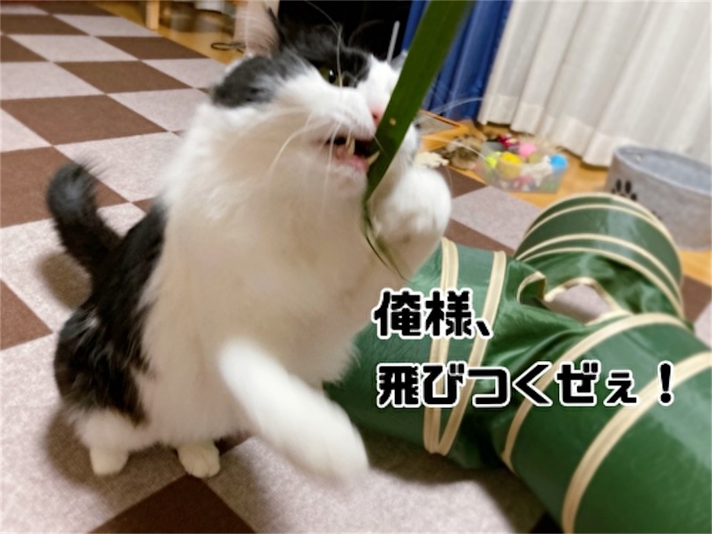 f:id:fukufukudo:20220401211615j:plain