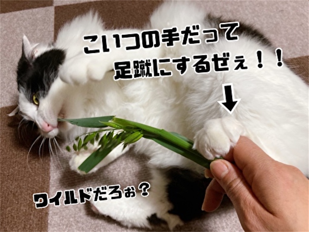 f:id:fukufukudo:20220401211639j:plain