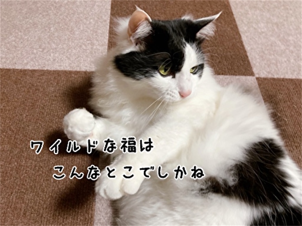 f:id:fukufukudo:20220401211648j:plain