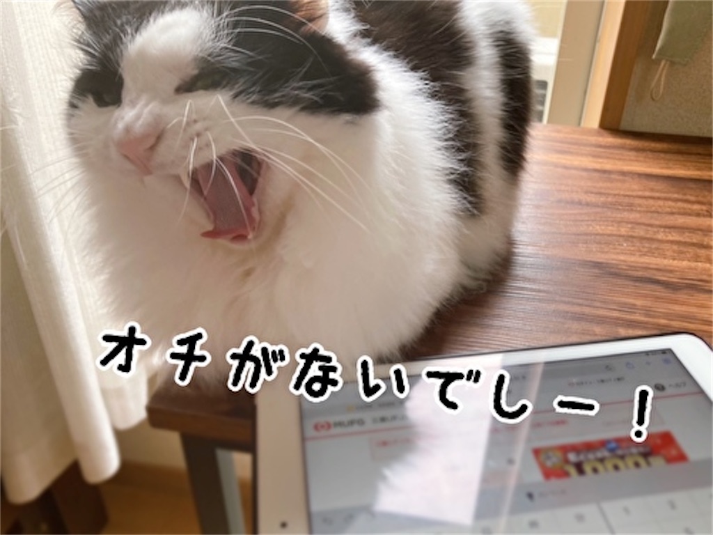 f:id:fukufukudo:20220405171237j:plain