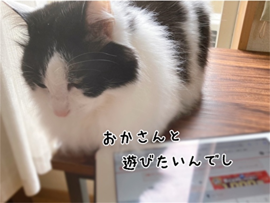 f:id:fukufukudo:20220406154701j:plain