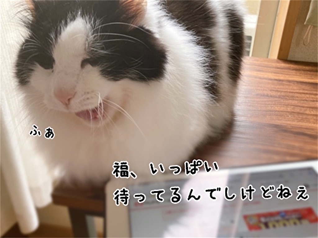 f:id:fukufukudo:20220406154723j:plain