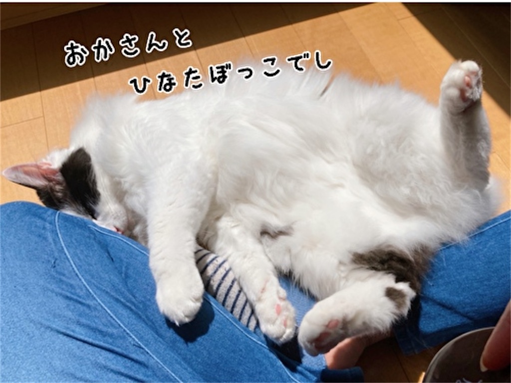 f:id:fukufukudo:20220410152407j:plain