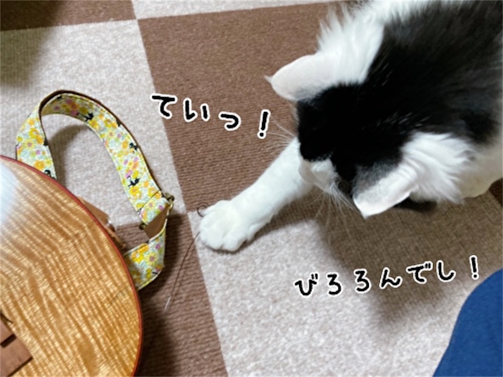 f:id:fukufukudo:20220410152506j:plain