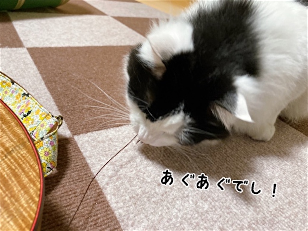 f:id:fukufukudo:20220410152519j:plain