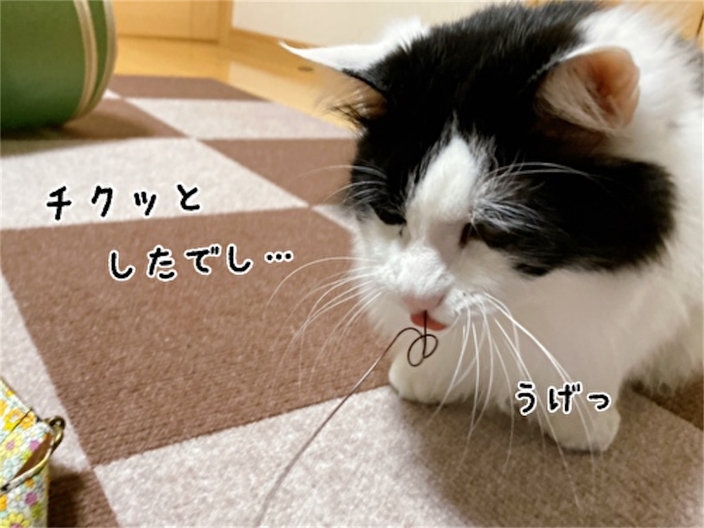 f:id:fukufukudo:20220410152539j:plain