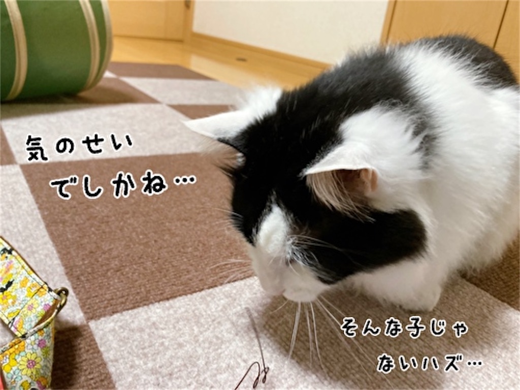 f:id:fukufukudo:20220410152553j:plain