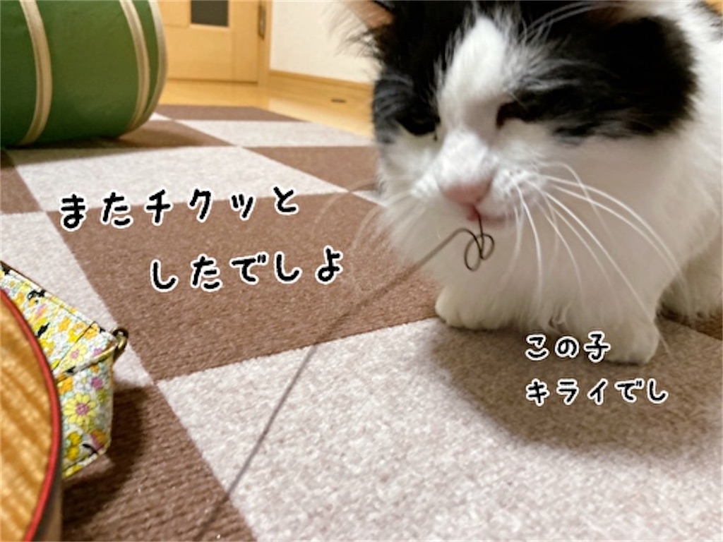 f:id:fukufukudo:20220410152607j:plain