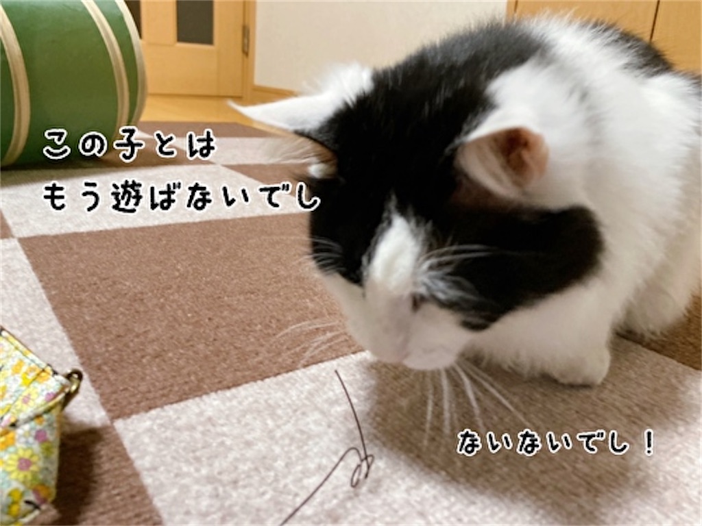 f:id:fukufukudo:20220410152612j:plain