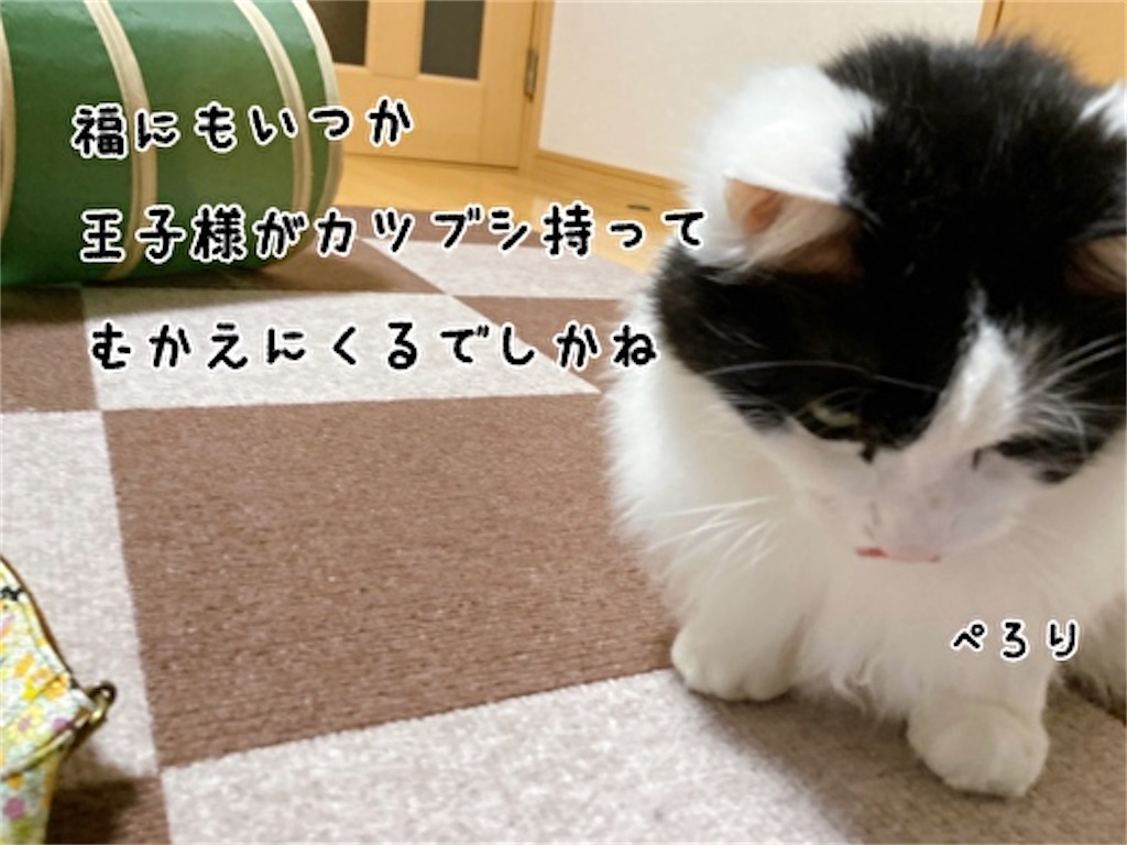f:id:fukufukudo:20220410203443j:plain