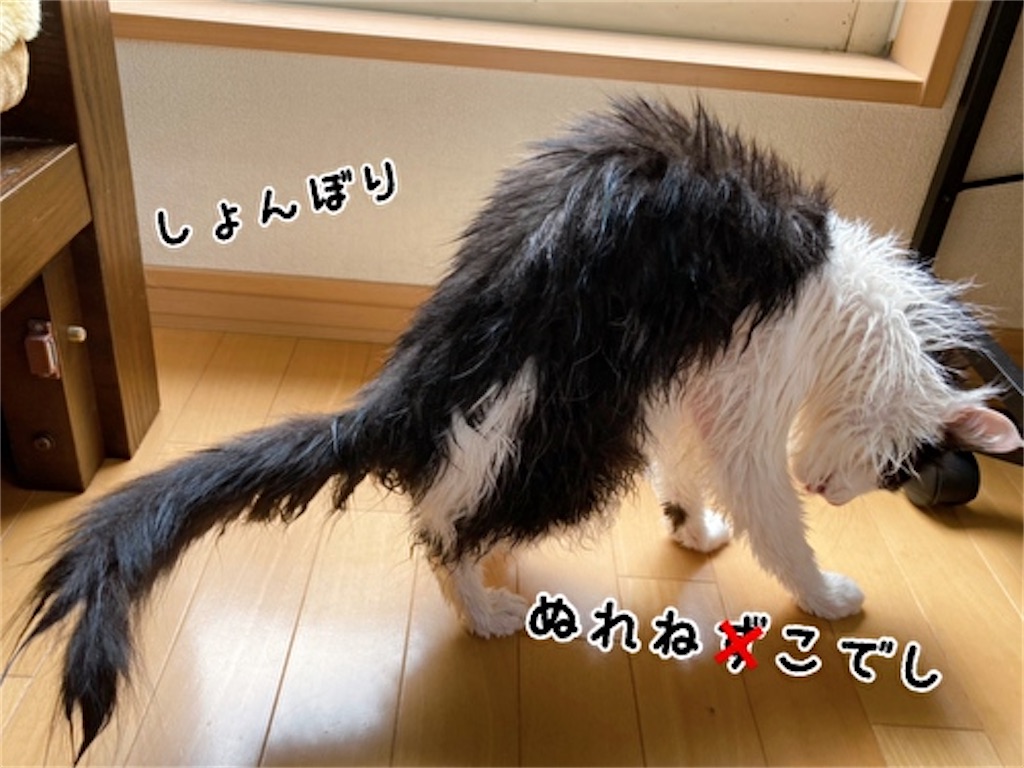 f:id:fukufukudo:20220413152104j:plain