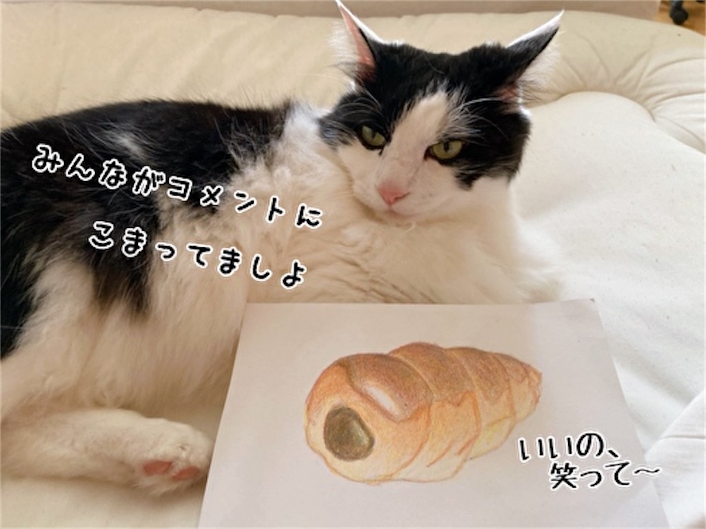 f:id:fukufukudo:20220413154315j:plain