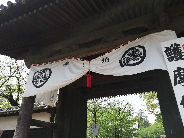 f:id:fukufukuichiko:20260427054517j:image f:id:fukufukuichiko:20260427054517j:image