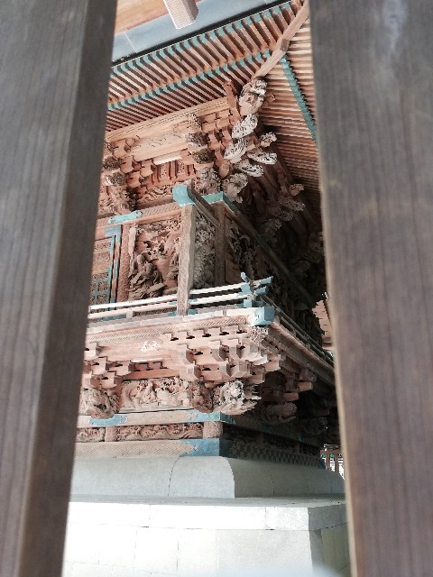 f:id:fukufukuichiko:20260427054615j:image f:id:fukufukuichiko:20260427054615j:image