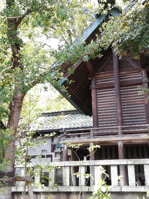 f:id:fukufukuichiko:20260427054729j:image f:id:fukufukuichiko:20260427054729j:image