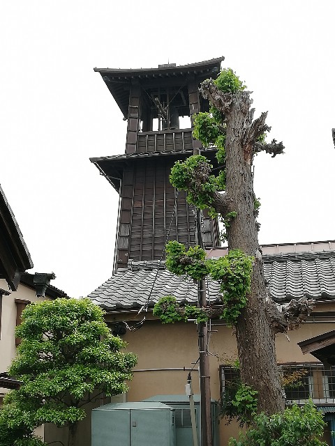 f:id:fukufukuichiko:20260427054808j:image f:id:fukufukuichiko:20260427054808j:image
