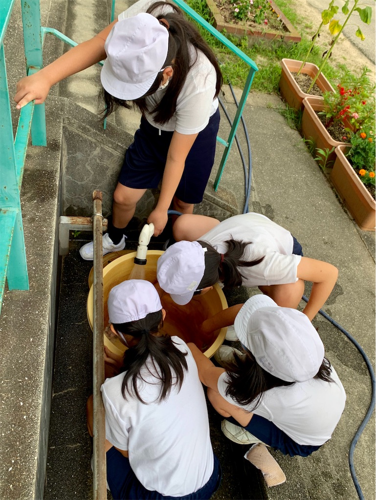 f:id:fukugawa-es:20200715134153j:image