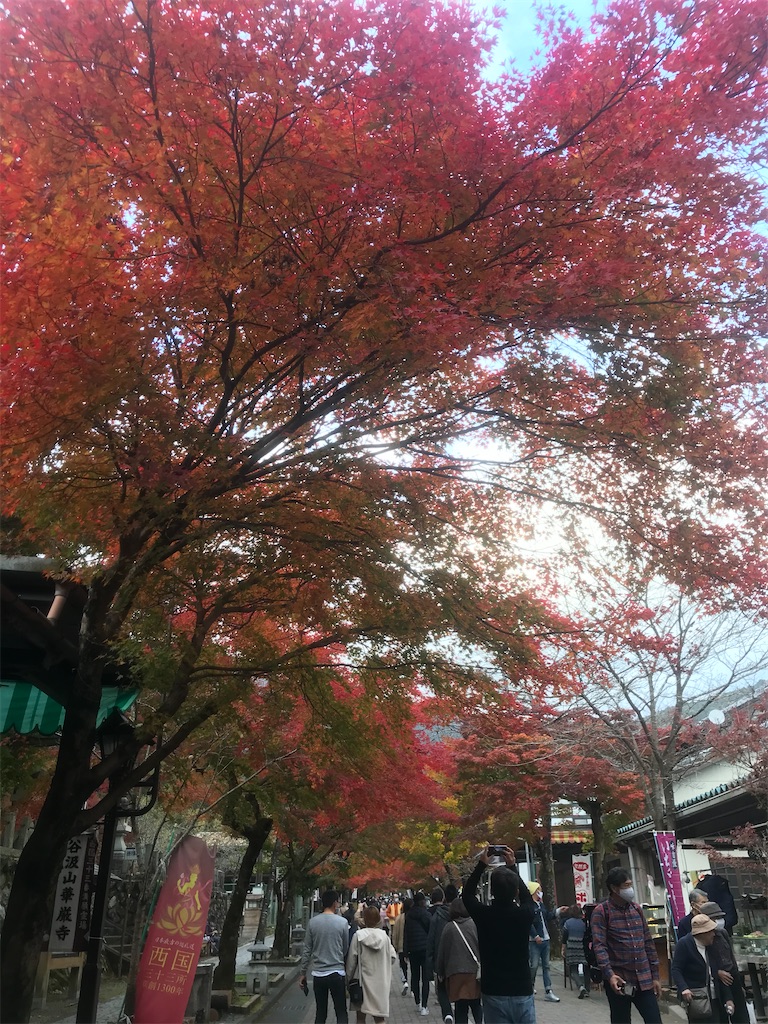 f:id:fukuhanny:20201207224258j:image