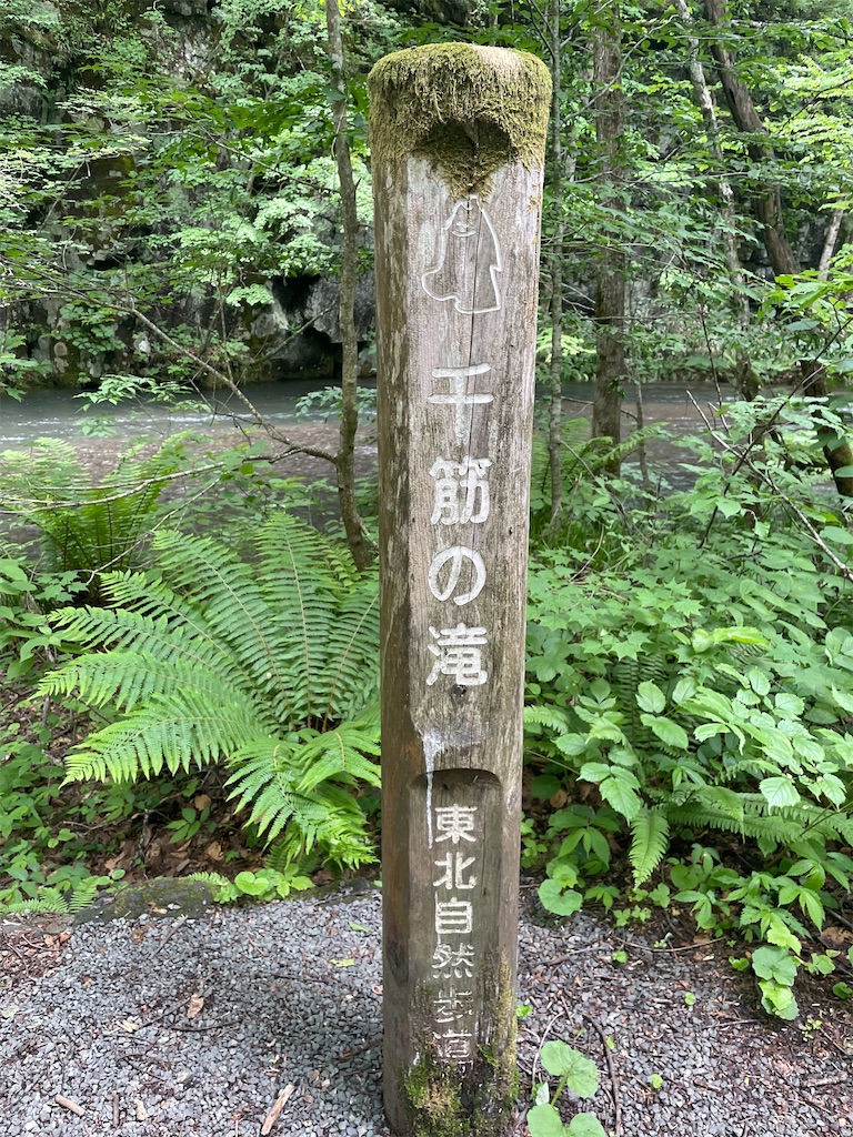 f:id:fukuhanny:20220709222013j:image