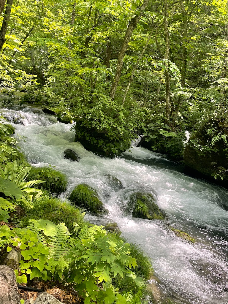 f:id:fukuhanny:20220709222022j:image