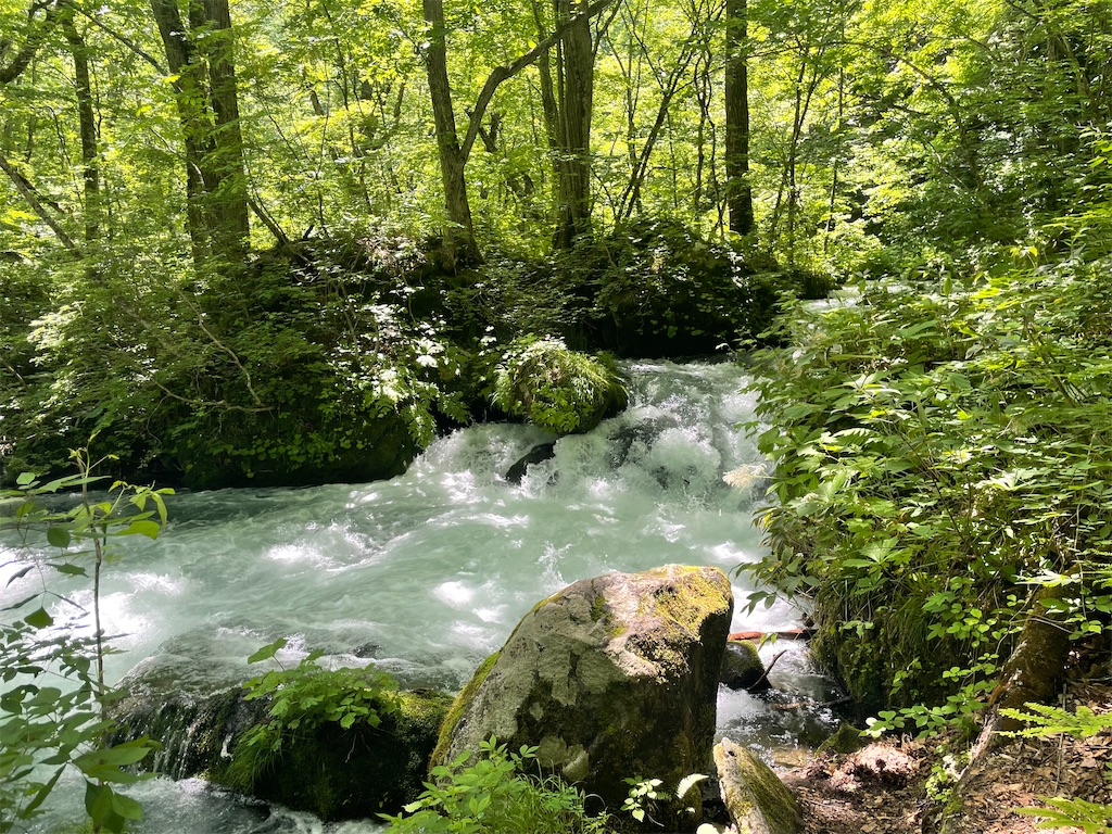 f:id:fukuhanny:20220709222029j:image