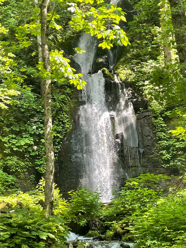 f:id:fukuhanny:20220709222037j:image