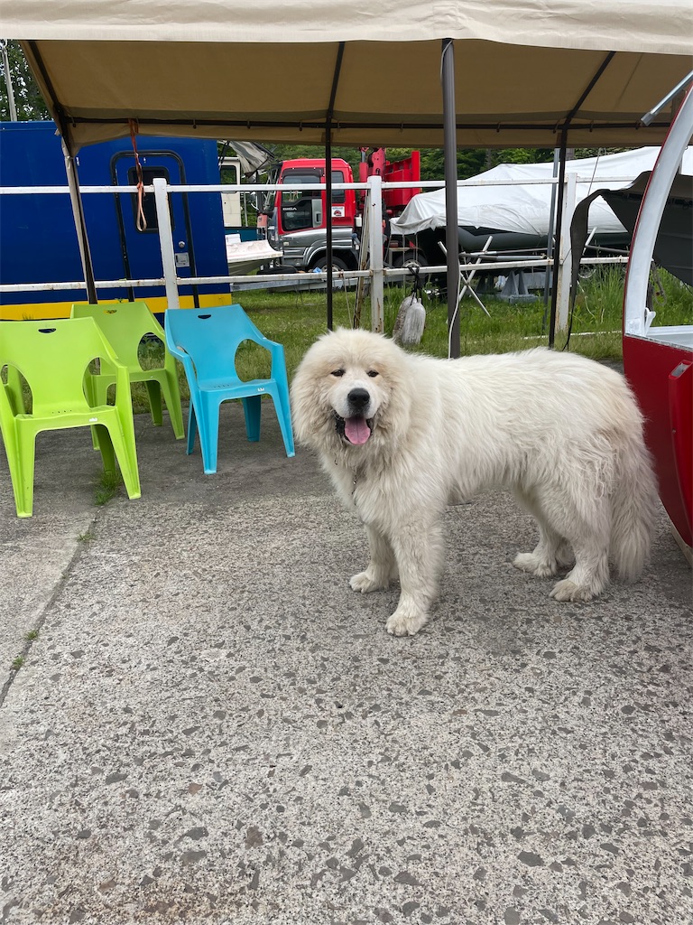 f:id:fukuhanny:20220709222043j:image