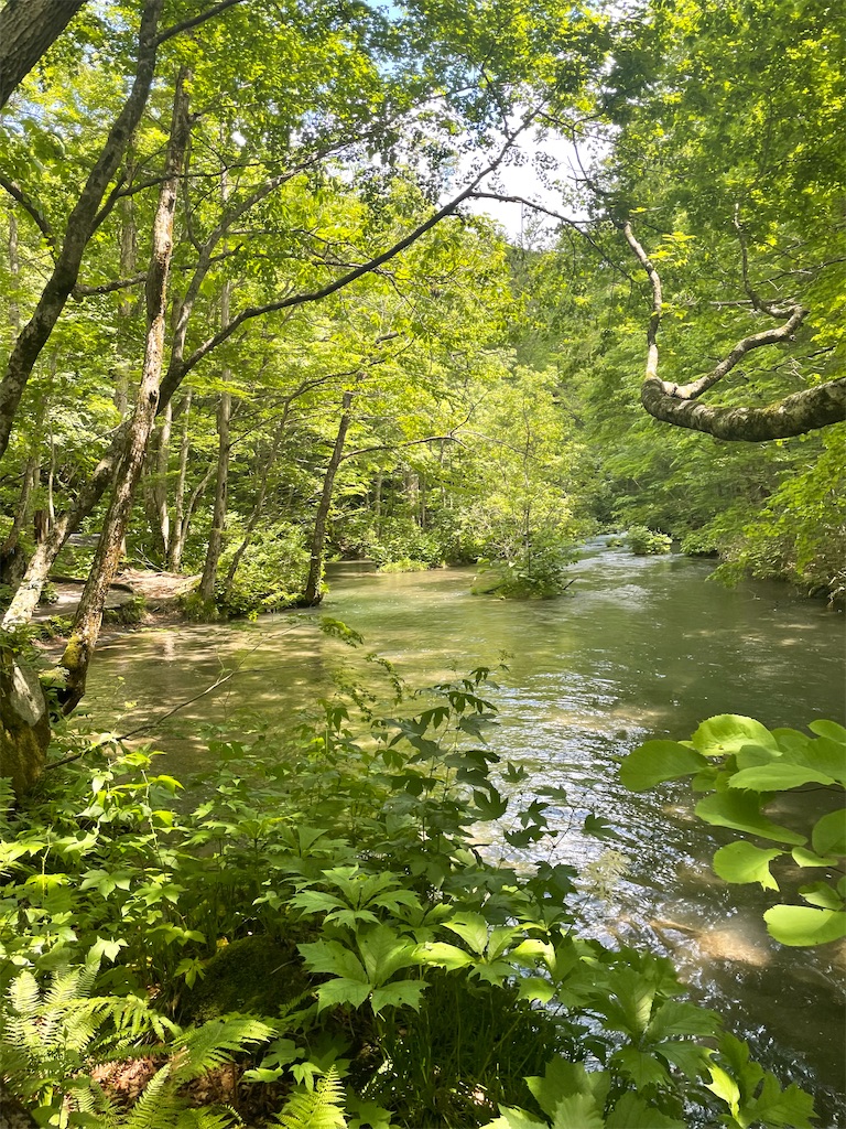 f:id:fukuhanny:20220709222102j:image