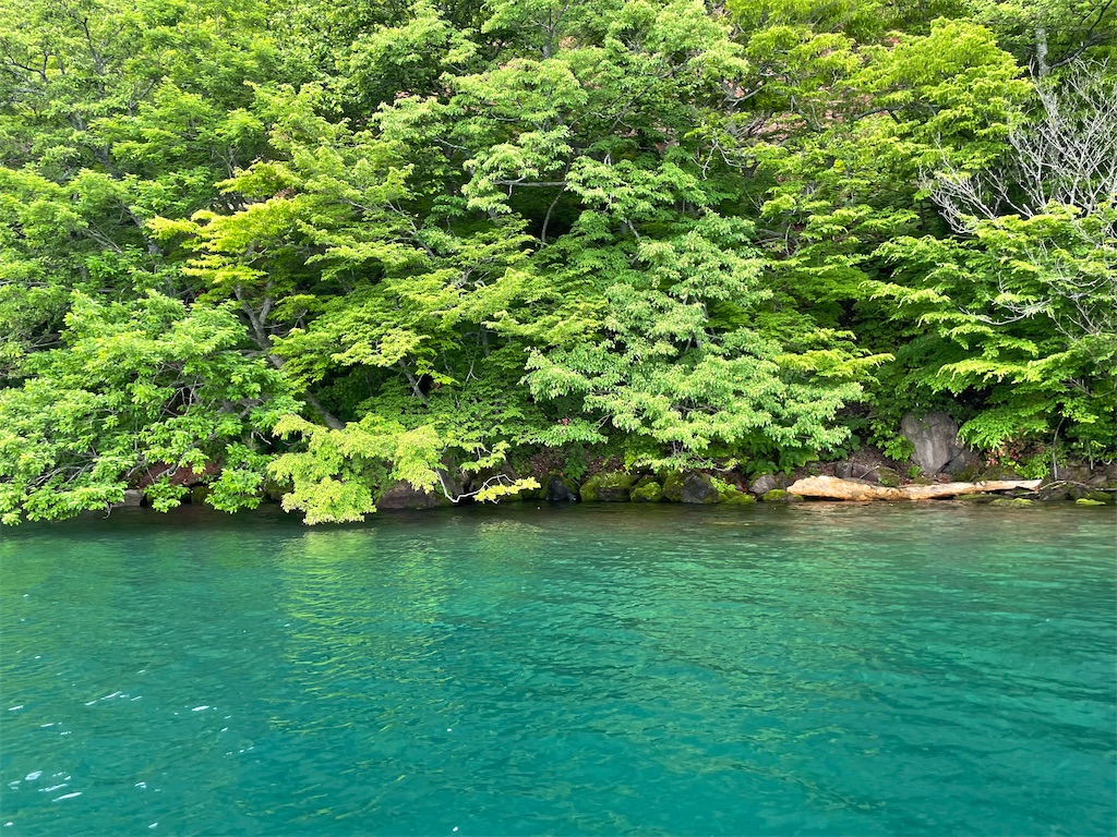 f:id:fukuhanny:20220709222110j:image