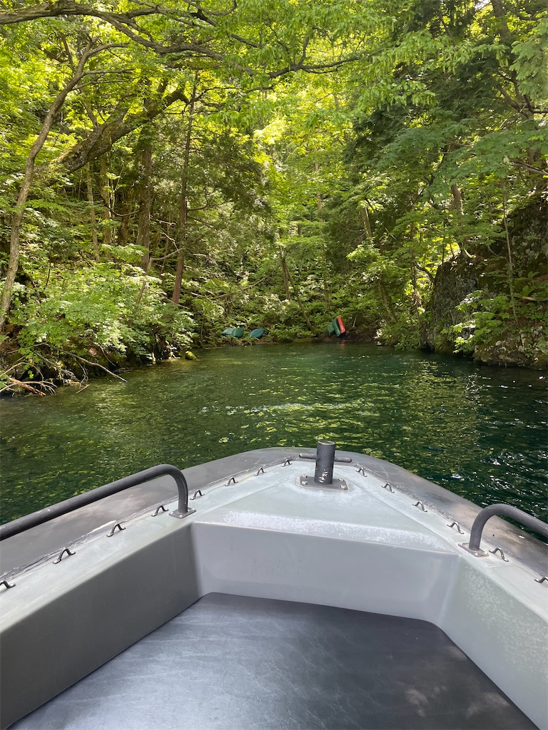 f:id:fukuhanny:20220709222149j:image