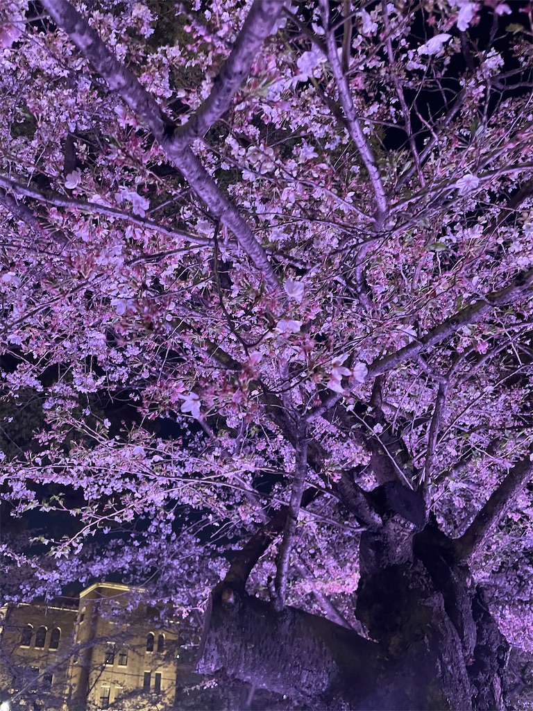 f:id:fukuhanny:20230408122625j:image