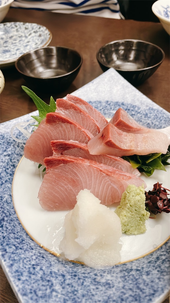 f:id:fukuhanny:20230603091036j:image