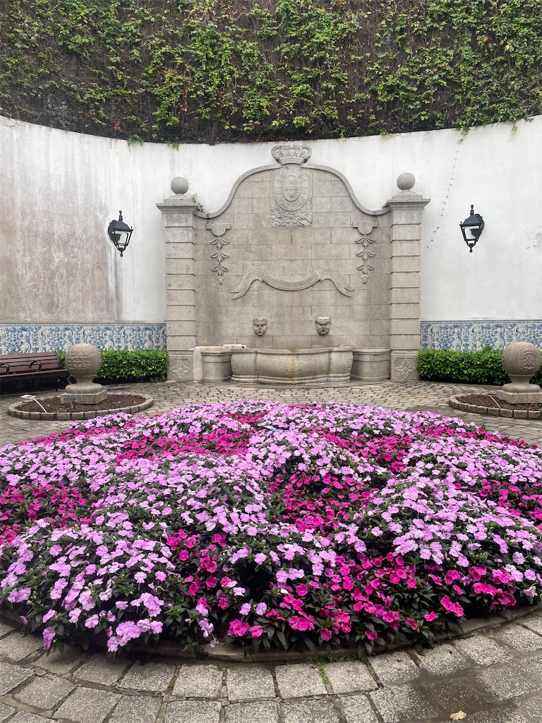 f:id:fukuhanny:20240119203738j:image