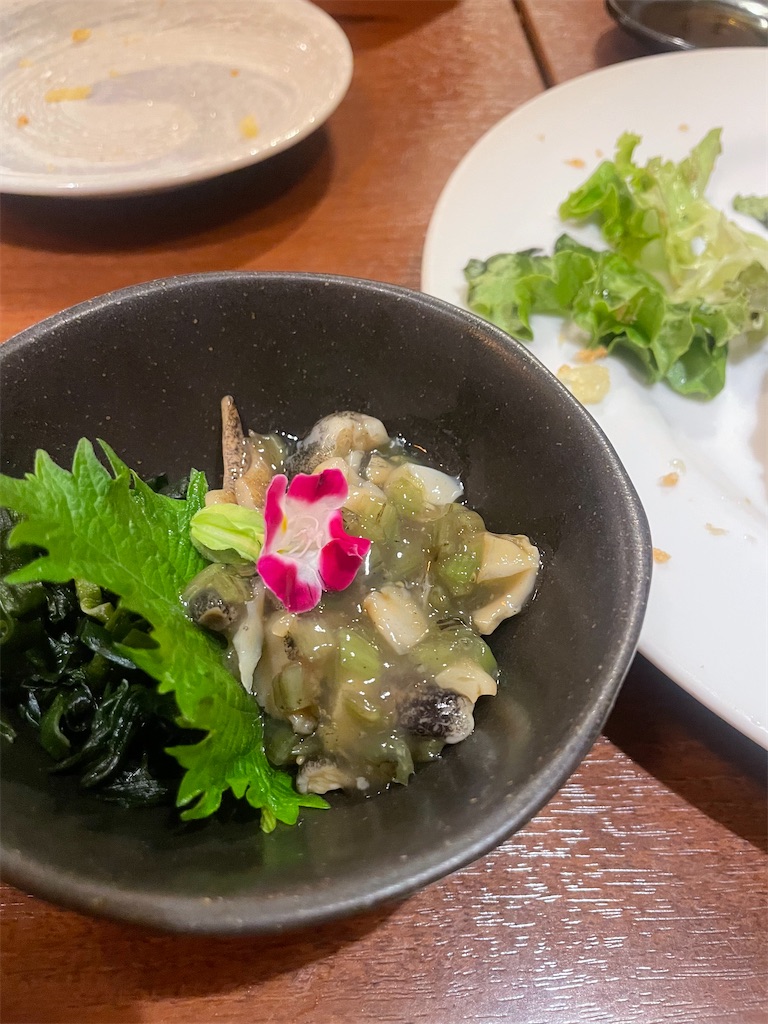 f:id:fukuhanny:20240626220952j:image