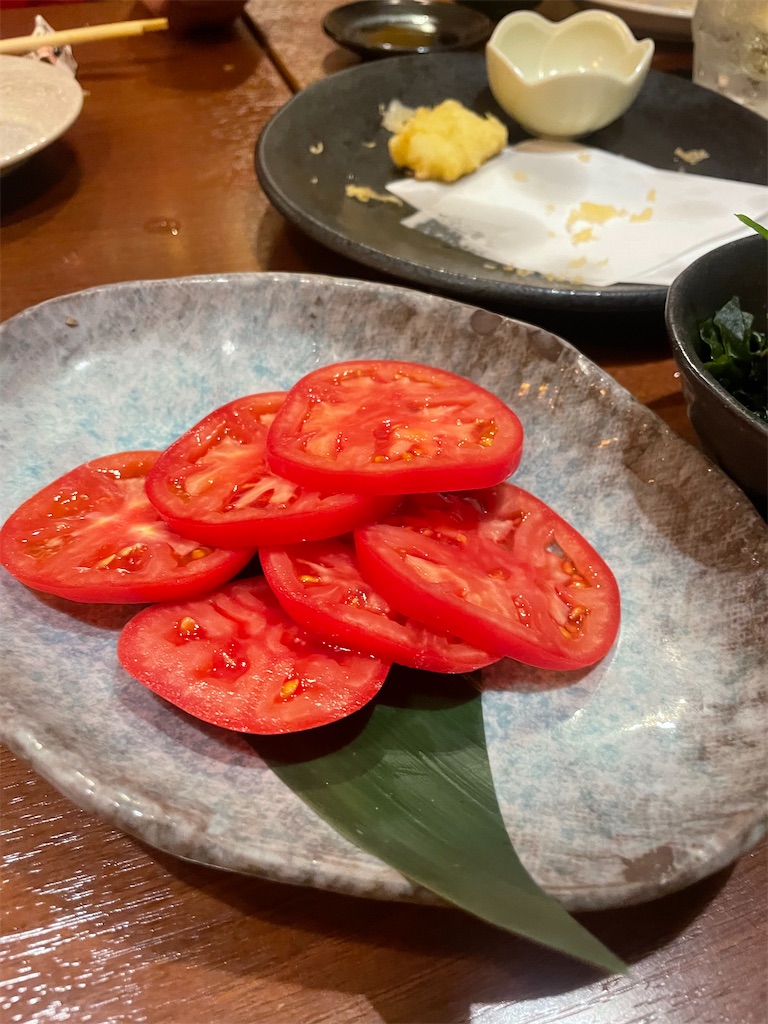 f:id:fukuhanny:20240626221006j:image