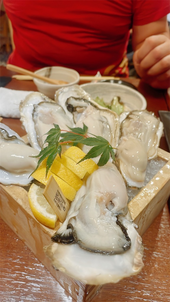 f:id:fukuhanny:20240630222757j:image