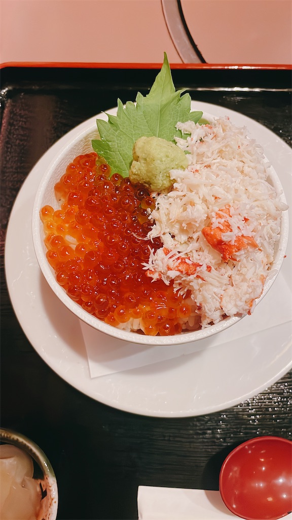 f:id:fukuhanny:20240715002634j:image