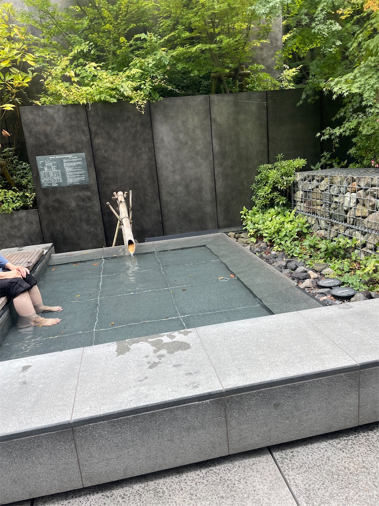 f:id:fukuhanny:20241107210112j:image